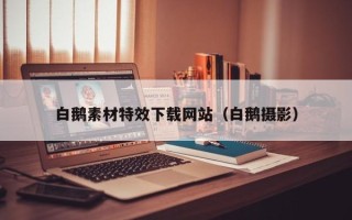 宁国白鹅素材特效下载网站（白鹅摄影）